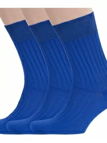 Комплект из 3 пар мужских носков RuSocks (Орудьевский трикотаж) из 100% хлопка, 3-М3-11001, рис. 01, ВАСИЛЬКОВЫЕ