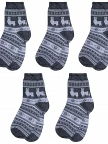 Комплект из 5 пар детских носков RuSocks (Орудьевский трикотаж), 5-Д3-13159, рис. 05, ТЕМНО-СЕРЫЕ