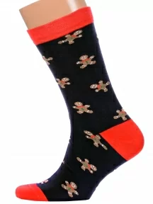 Мужские носки «Красная ветка», С-2023, СИНИЕ