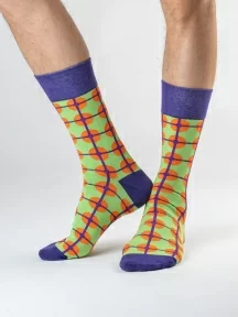 Набор из 5 пар мужских носков "Нева-Сокс", НС-5-НМ38, микс "Привет ромашки"