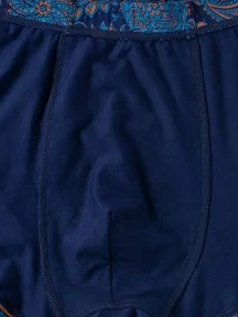 Мужские бамбуковые трусы-боксеры Sergio Dallini, 2942-2, БИРЮЗОВЫЕ