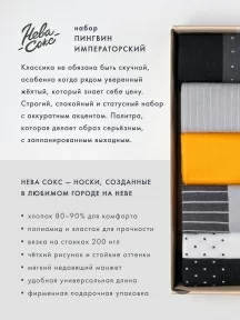 Набор из 5 пар мужских носков "Нева-Сокс" "Пингвин императорский" (НС-5-НМ47)