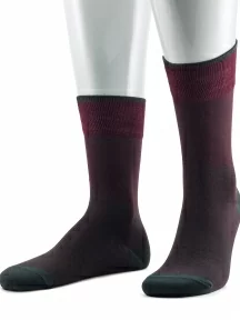 Мужские носки из мерсеризованного хлопка Sergio Di Calze (PINGONS), 17SC4, БОРДОВЫЕ