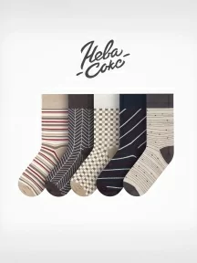 Набор из 5 пар мужских носков "Нева-Сокс", НС-5-НМ33, микc "В библиотеке"