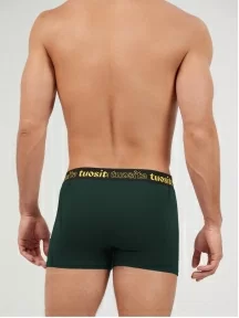 Мужские трусы-боксеры Tuosite, TS4402-2, ЗЕЛЕНЫЕ