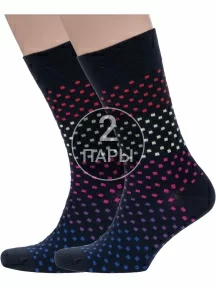 Комплект из 2 пар мужских носков Grinston socks ЧЕРНЫЕ (2-18D2)