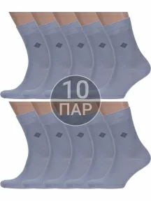 Комплект из 10 пар мужских носков ХОХ, 10-X-1205, СЕРЫЕ