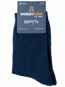 Мужские теплые носки Hobby Line, 6254, ТЕМНО-СИНИЕ