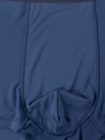 Мужские трусы-боксеры из модала Sergio Dallini, SD2908-5, СИНИЕ