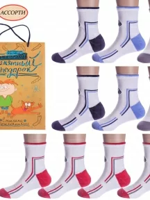 Набор из 10 пар спортивных носков с махровым следом LORENZline, Л5-10, микс