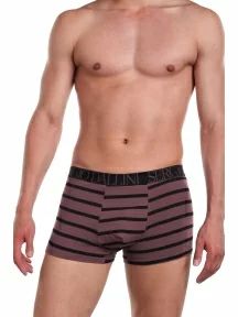 Трусы-боксеры мужские SERGIO DALLINI, SG2929-1, КОРИЧНЕВЫЕ