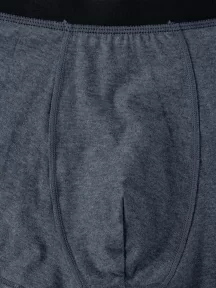 Мужские трусы-боксеры Tuosite, TS7824-2, СЕРЫЕ