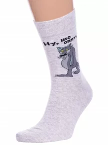 Мужские носки Брестские (БЧК), 23С2155, рис. 492, СВЕТЛО-СЕРЫЕ МЕЛАНЖ