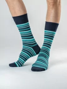 Набор из 5 пар мужских носков "Нева-Сокс", НС-5-НМ41, "Техник"