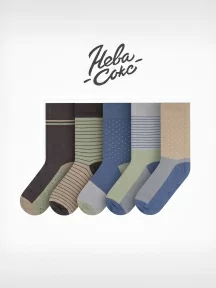 Набор из 5 пар мужских носков "Нева-Сокс", НС-5-НМ50, микс "Медведь в лесу"