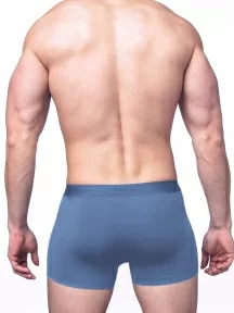 Мужские трусы-боксеры из модала Sergio Dallini, SG2922-4, ГОЛУБЫЕ