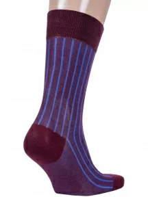 Комплект из 3 пар мужских носков Sergio Di Calze (PINGONS) из мерсеризованного хлопка, 3-18SC2, БОРДОВЫЕ