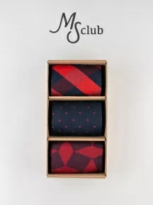 Набор из 3 пар мужских носков MSCLUB №М34, ВИ3-НМ34, микс 2 "Политик"