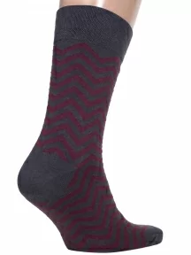 Мужские носки MSCLUB №М33, nm-356, ГРАФИТОВО-БОРДОВЫЕ