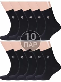 Комплект из 10 пар мужских носков Альтаир, 10-С8, ЧЕРНЫЕ