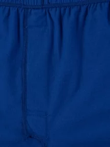 Мужские трусы-шорты из 100% хлопка Sergio Dallini, SG3304-3, СИНИЕ