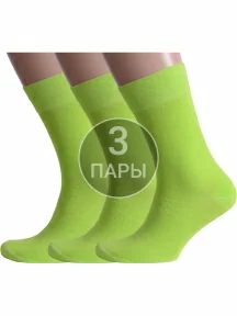 Комплект из 3 пар мужских носков Альтаир САЛАТОВЫЕ (3-H226)