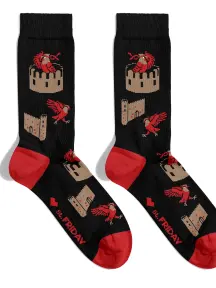Носки St. Friday Socks Орел в Дербентской крепости (3626-19)