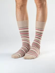 Набор из 10 пар мужских носков MSCLUB №М33, ВИ10-НМ33, микс БЕЖЕВО-БОРДОВЫЙ