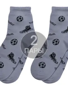 Комплект из 2 пар детских носков "Красная ветка" СЕРЫЕ (2-С-546)