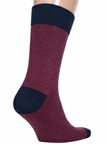 Мужские носки MSCLUB №М34, nm-374, БОРДОВЫЕ в тонкую полоску