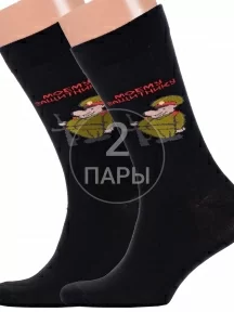 Комплект из 2 пар мужских носков "Красная ветка", 2-С-2070, ЧЕРНЫЕ