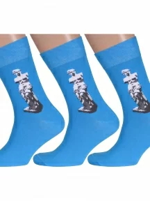 Комплект из 3 пар мужских носков MSCLUB №М20, msk3-М20, nm-239Э, ГОЛУБЫЕ с Венерой