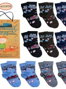 Набор для мальчиков из 10 пар носков LORENZline, Л64-10, микс 2