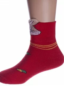 Набор для девочек из 10 пар махровых носков LORENZline, Л3-10, микс