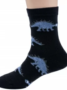 Набор для мальчиков из 10 пар носков LORENZline, Л107-10, микс