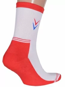 Комплект из 2 пар мужских спортивных носков с махровым следом LORENZLine, 2-С18М, КРАСНО-БЕЛЫЕ