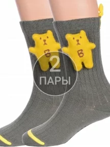 Комплект из 2 пар детских носков Conte kids, 2-20С-170СП, рис. 574, ХАКИ