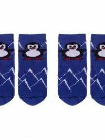 Комплект из 2 пар детских махровых носков Альтаир, 2-С129, СИНИЕ