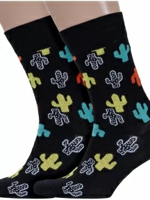 Комплект из 2 пар мужских носков DiWaRi, 2-17С-151СП, рис. 141, ЧЕРНЫЕ