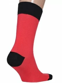 Мужские носки MSCLUB №М26, nm-290, "ESC"