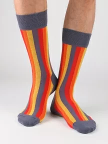 Набор из 5 пар мужских носков "Нева-Сокс", НС-5-НМ210, микс "Жгучий карри"