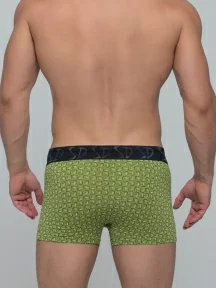 Мужские трусы-боксеры SD (by Salvador Dali), SD2023-4, ЗЕЛЕНЫЕ