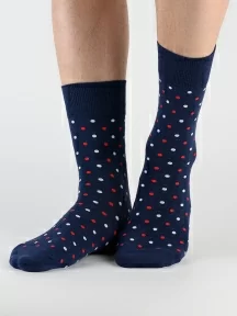 Набор из 5 пар мужских носков "Нева-Сокс", НС-5-НМ204, "Северный ветер"