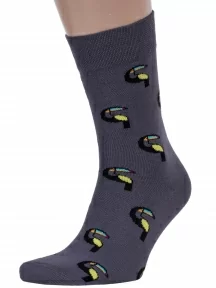 Комплект из 2 пар мужских носков DiWaRi, 2-17С-151СП, рис. 081, ТЕМНО-СЕРЫЕ