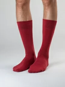 Набор из 3 пар мужских носков MSCLUB, 3-ПН-01, БОРДОВЫЕ