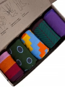 Набор из 5 пар мужских носков "Нева-Сокс", НС-5-201, микс "Машина времени" V2.0