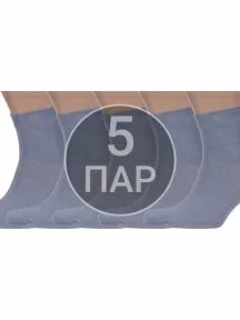 Комплект из 5 пар мужских носков Брестские (БЧК) рис. 000, СЕРЫЕ (5-14С2124)