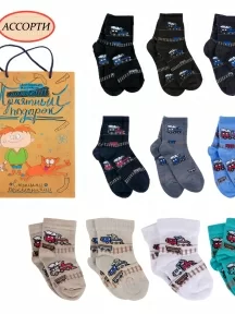 Набор для мальчиков из 10 пар носков LORENZline, Л70-10, микс