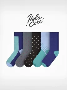 Набор из 5 пар мужских носков "Нева-Сокс", НС-5-НМ202, "Ментоловый гонщик"