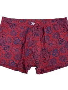 Мужские бамбуковые трусы-боксеры SD (by Salvador Dali), SD2042-3, КРАСНЫЕ